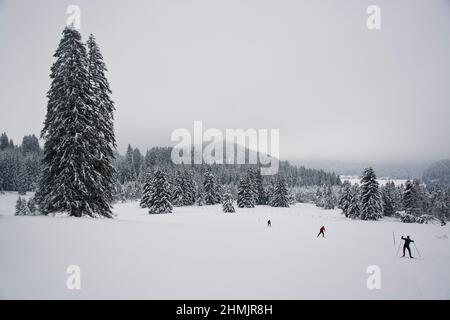 Langläufer in winterlicher Märchenlandschaft im Waadtländer Jura Foto Stock