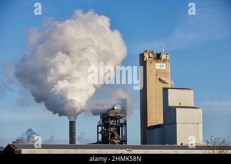 CF Industries, azienda leader a livello mondiale nella produzione di idrogeno e azoto, Billingham Stockton-on-Tees, County Durham, Inghilterra Foto Stock