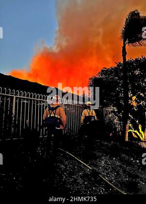 Febbraio 10, 2022, Laguna Beach, California, Stati Uniti d'America: I vigili del fuoco osservano le fiamme nelle colline mentre un grande fuoco di spazzola è scoppiato nella zona di Emerald Bay di Laguna Beach presto Giovedi mattina sollecitando le evacuazioni con centinaia di residenti in North Laguna Beach detto di evacuare. Il fuoco è stato riportato subito dopo il 4am il giovedì nella comunità gated di Emerald Bay. Il fuoco ha bruciato 145 acri ed è approssimativamente 5 per cento contenuto. Nessuna casa è stata danneggiata nella zona. (Credit Image: © Orange County Fire Authority via ZUMA Press Wire Service) Foto Stock