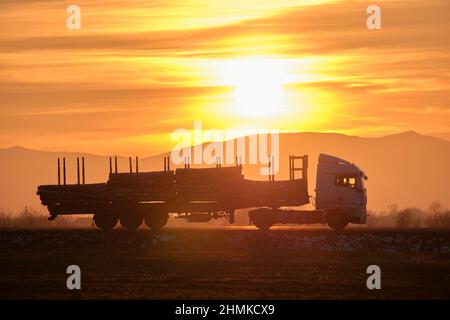 Il semirimorchio con rimorchio cargo che guida su strade pubbliche ha tagliato gli alberi di sera. Concetto di logistica e consegna legname. Foto Stock