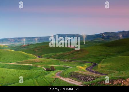 Mulini a vento sulla collina verde, California Foto Stock