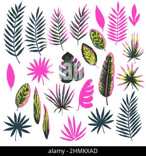 Insieme di foglie e piante tropicali moderne e colorate, isolate su sfondo bianco. Illustrazione Vettoriale