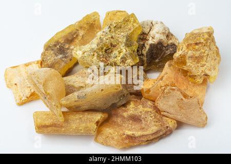 Pezzi di Copal malgascio con frammenti di vegetazione all'interno su sfondo verde Foto Stock