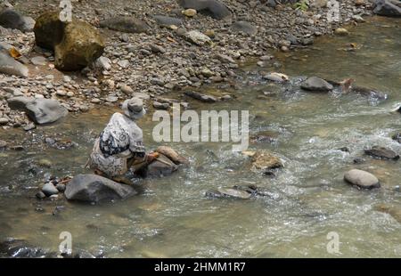 10 febbraio 2022, Bogor, West java, indonesia: Fiume Cikaniki, Che si trova nelle vicinanze delle miniere di ANTAM, Pongkor, West Java (Credit Image: © Denny Pohan/ZUMA Press Wire) Foto Stock