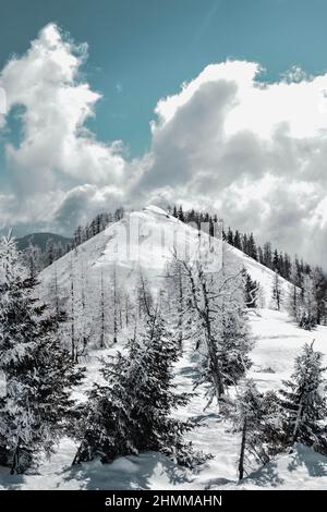 Punta di montagna innevata in inverno. Le nuvole coprono parzialmente il cielo blu. Di seguito si trovano gli spruces coperti di neve e illuminati dal sole. Foto Stock