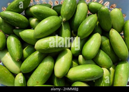 Zucca Ivy o zucca scarlatto noto come Tindora o Ghola, verdure verdi dal clima tropicale Indian Asian verdure vista dall'alto. Verdure nel cestino Foto Stock