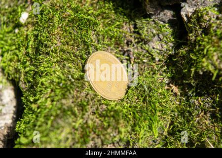 Vecchie monete nella foresta su muschio verde Foto Stock