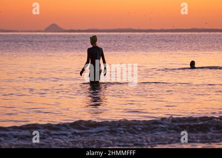 Portobello, Edimburgo, Scozia, Regno Unito. 11th febbraio 2022. Temperature gelide all'alba con meno 2 gradi per coloro abbastanza coraggiosi da avventurarsi sul Firth of Forth. Molti gabbiani che volano nel cielo sopra. Nella foto: Due femmine in mute fanno il loro senso dentro all'acqua del cuolo. Credit: Archwhite/alamy Live News. Foto Stock