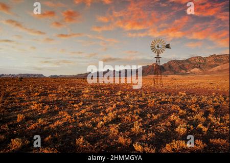 L'iconico mulino a vento australiano al tramonto nelle Flinders Ranges. Foto Stock