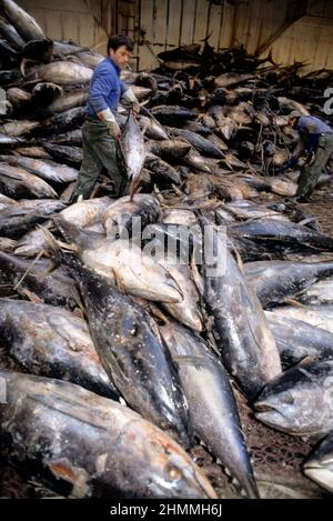 francia peche au thon Foto Stock