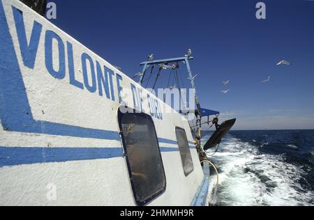 Trawler peschereccio Francia Mediterraneo mare Foto Stock