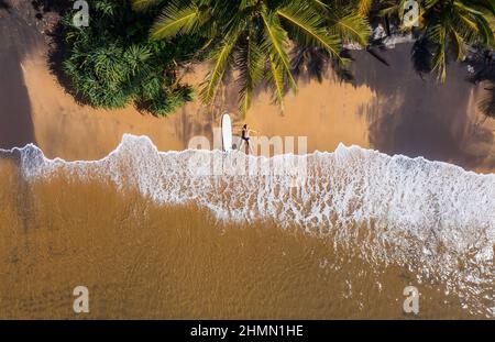 Foto aerea del surfista che si trova accanto alla tavola da surf sulla spiaggia sabbiosa dell'oceano in posa DELLE STELLE e abbronzatura sotto alte palme. Onde morbide che lavano la gamba Foto Stock
