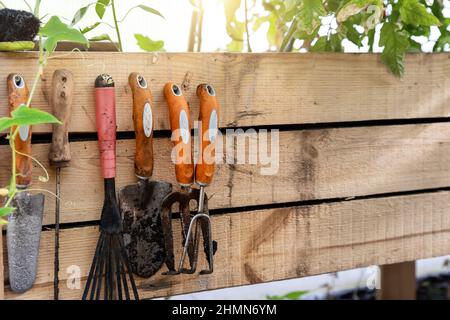 Set di sporco usato arrugginito attrezzi di giardinaggio appesi su sfondo legno tavola a casa giardino serra flowerbed o letto vegetale in giorno di sole. Nazionale Foto Stock