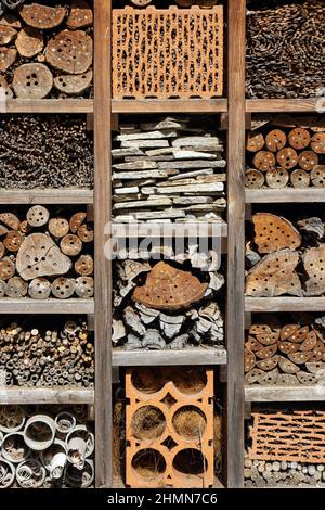 Un hotel multilivello - casa per insetti Foto Stock