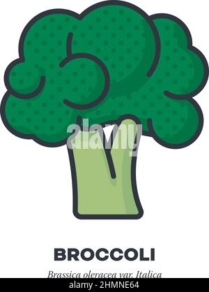 Icona di verdure di cavolo di broccoli, contorno con illustrazione vettoriale di stile di riempimento di colore Illustrazione Vettoriale