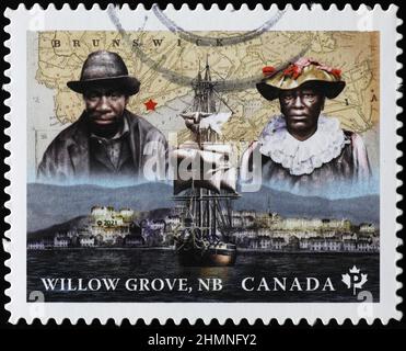 Willow boschetto sul francobollo canadese Foto Stock