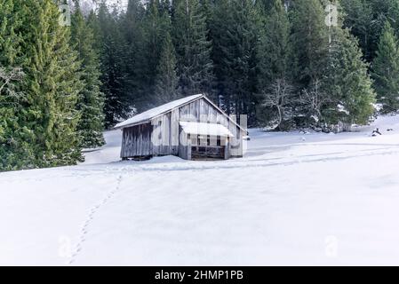 Chalet estivo isolato e scuderie in alto sulle Alpi svizzere ricoperte di neve fresca nei pressi di Bruelisau in Appenzell Foto Stock