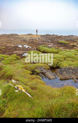 AFFERRA una scultura in ghisa di Anthony Gormley di fronte a una nebbia marina in arrivo sul Kilbrannan Sound nr Saddell sulla penisola di Kintyre, Argyll & Bute Foto Stock