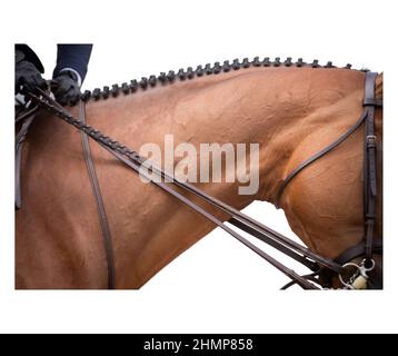 La collezione kodachrome di Spowartholm Equestrian photographers 2021 Foto Stock