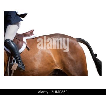 La collezione kodachrome di Spowartholm Equestrian photographers 2021 Foto Stock