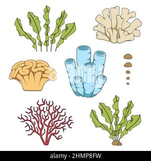 Set di illustrazioni a colori con coralli e alghe. Oggetti vettoriali isolati su sfondo bianco. Illustrazione Vettoriale
