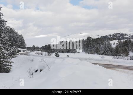 Montagna Zlatibor, Serbia in inverno. Vista di una zona rurale in inverno con strada e montagna picco in lontananza. Messa a fuoco selettiva Foto Stock