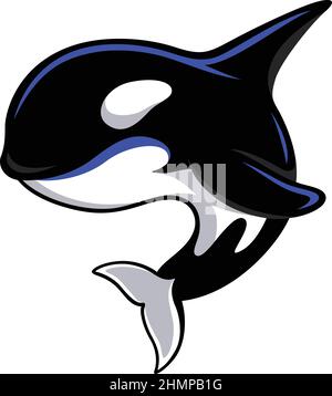 Disegno vettoriale della balena Killer Illustrazione Vettoriale