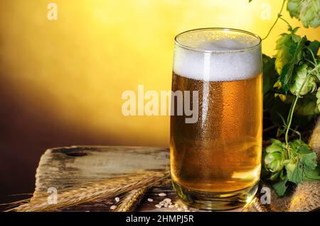 Ancora vita con bicchiere di birra e luppolo verde e orecchie di orzo su vecchio tavolo di legno Foto Stock
