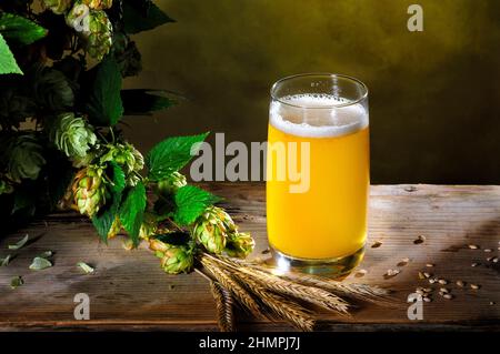 Ancora vita con bicchiere di birra e luppolo verde e orecchie di orzo su vecchio tavolo di legno Foto Stock