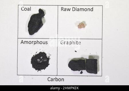 Disposizione con allotropes di carbone; carbone, diamante, amorfo e grafite. Foto Stock