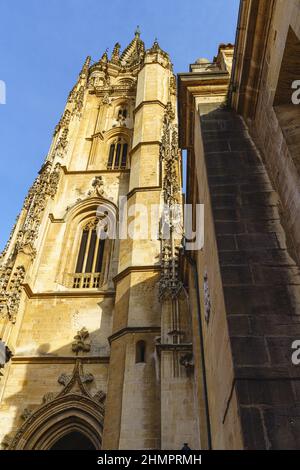 Vista della Cattedrale di Oviedo, Uvieu, nelle Asturie, Spagna Foto Stock