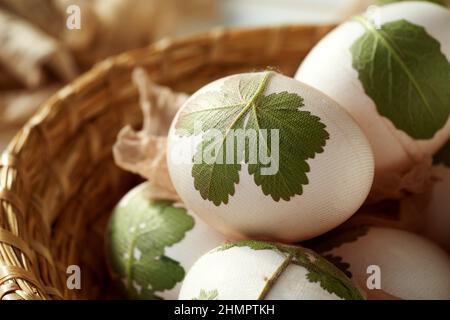 Uova di Pasqua crude con foglie fresche ad esse attaccate - preparazione per la tintura con bucce di cipolla Foto Stock