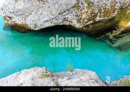 A Soča Trout nuoto in acque cristalline fiume Soča , Slovenia Foto Stock