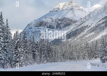 Vista su Jasper Park lungo la Icefields Pkwy in inverno Foto Stock