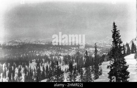 Prima Guerra Mondiale - prima English - Monte Fiara - Vicenza - 1° Reggimento Artiglieria Alpini Regio Esercito Italiano Foto Stock