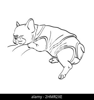 bulldog con panno illustrazione del sonno vettore disegnato a mano isolato su sfondo bianco art. Illustrazione Vettoriale