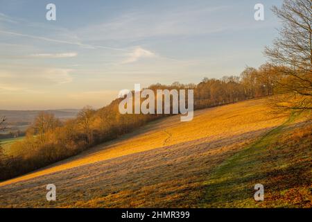 Il bordo delle North Downs sopra Birling e Riarsh Kent in un'alba di inverni Foto Stock