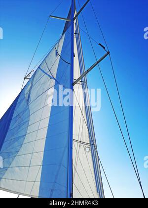 Vele riempite di vento da yacht su sfondo blu chiaro del cielo. Vela con il vento a mare aperto, concetto di vacanze estive. Guardando verso il cielo, sole cenere Foto Stock