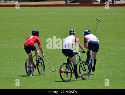 Polo ciclistico in erba ai Campionati del mondo, Buenos Aires, Argentina Dicembre 2019 Foto Stock