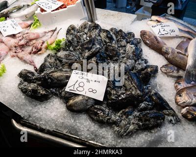 Seppie o crostacei con l'inchiostro di Chioggia su ghiaccio in vendita al mercato del pesce di Rialto a Venezia Foto Stock