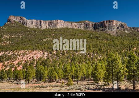 Altopiano senza nome in Chuska Mountains, Indian Route 12, Dine Tah Among the People Scenic Road, Near Crystal, Navajo Nation, New Mexico, USA Foto Stock