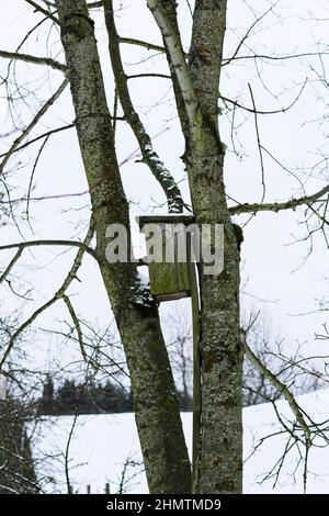 Alimentatore di uccello di legno su un albero. Paesaggio russo invernale. Abbandonato villaggio russo coperto di neve. Il concetto di prendersi cura della natura e degli uccelli. Foto Stock