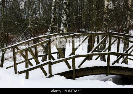 Vecchio ponte di legno attraverso il torrente nel villaggio. Paesaggio russo invernale. Alberi innevati. Abbandonato villaggio russo coperto di neve. Foto Stock