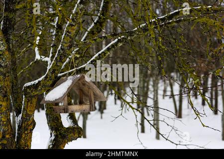 Alimentatore di uccello di legno su un albero. Paesaggio russo invernale. Abbandonato villaggio russo coperto di neve. Il concetto di prendersi cura della natura e degli uccelli. Foto Stock