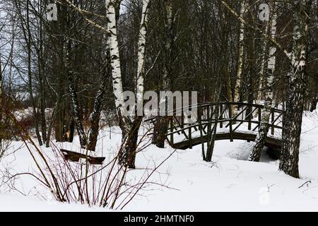 Vecchio ponte di legno attraverso il torrente nel villaggio. Paesaggio russo invernale. Alberi innevati. Abbandonato villaggio russo coperto di neve. Foto Stock