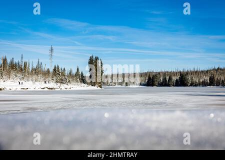 12 febbraio 2022, bassa Sassonia, Oderbrück: Parzialmente congelato, il bacino di Oderteich nel Parco Nazionale di Harz è alla luce del sole invernale sotto un cielo blu. (Al dpa 'tempo invernale nel Harz attrae escursionisti all'aperto - parcheggi completi') Foto: Moritz Frankenberg/dpa Foto Stock