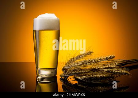 birra in un bicchiere con spighe di mais Foto Stock