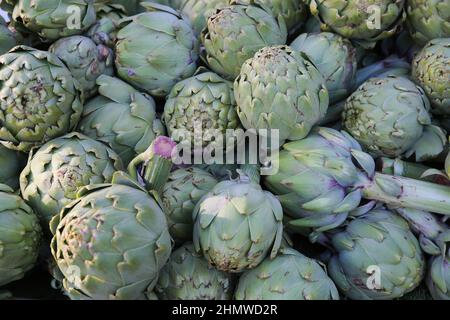 Closeup full frame di gruppo molti carciofi crudi maturi sul mercato olandese Foto Stock