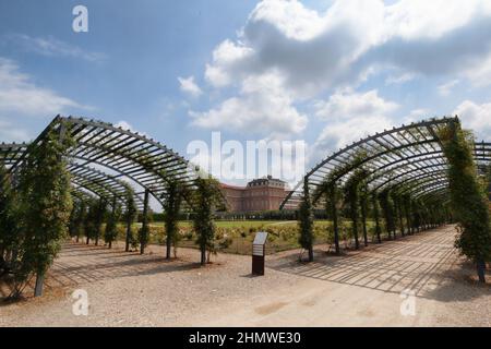 La Venaria reale, Italia - 24 Giugno 2014: Rosario nei Giardini di Venaria Foto Stock
