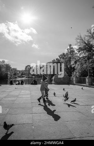 I bambini inseguono i piccioni nel parco Foto Stock